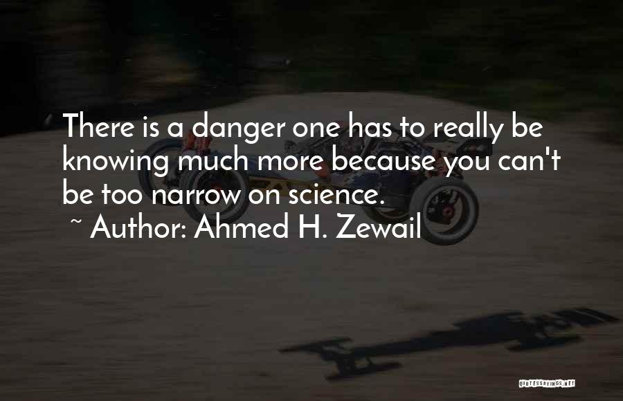 Ahmed H. Zewail Quotes 2063787