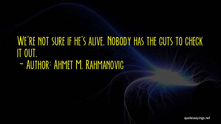 Ahmet M. Rahmanovic Quotes 487178