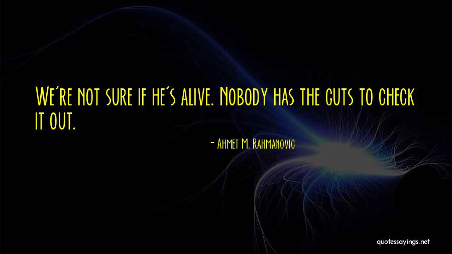 Ahmet M. Rahmanovic Quotes 487178 Ahmet M. Rahmanovic Quotes 487178