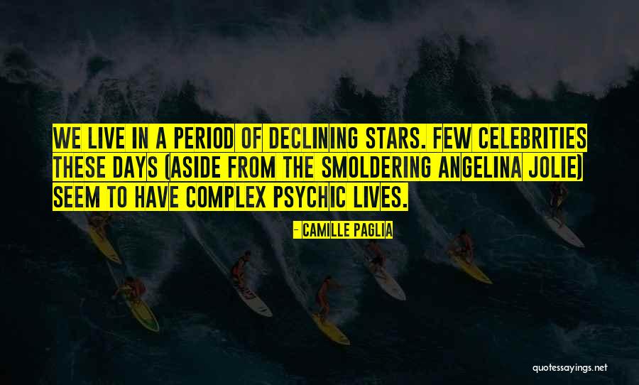 Ahncotran Quotes By Camille Paglia Ahncotran Quotes By Camille Paglia