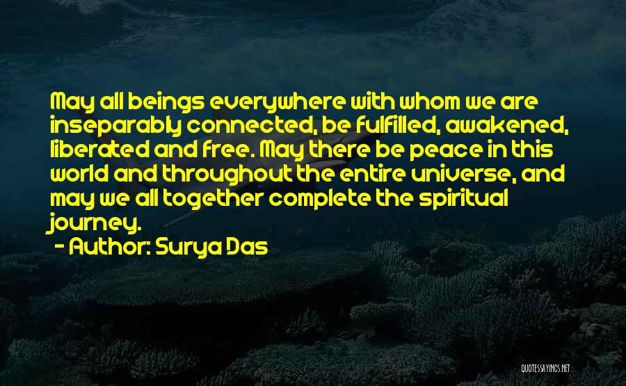 Ahneta Quotes By Surya Das