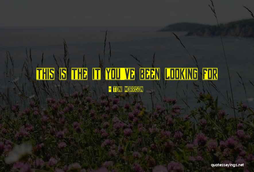 Ahogy A Csillag Quotes By Toni Morrison Ahogy A Csillag Quotes By Toni Morrison