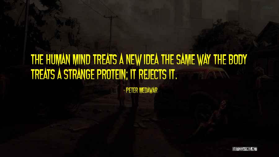 Ahorita Spanish Quotes By Peter Medawar Ahorita Spanish Quotes By Peter Medawar