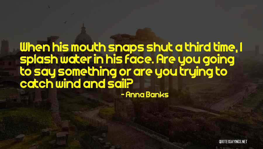 Ahoy Comics Quotes By Anna Banks
