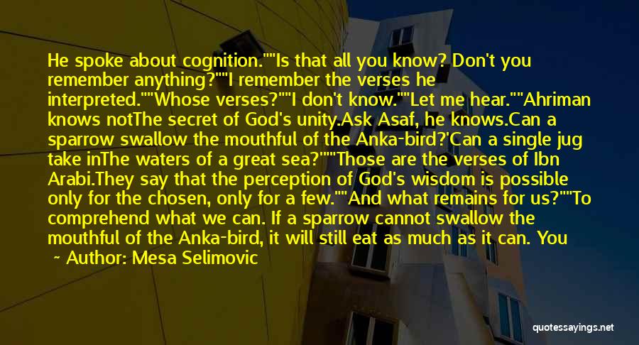 Ahriman Quotes By Mesa Selimovic