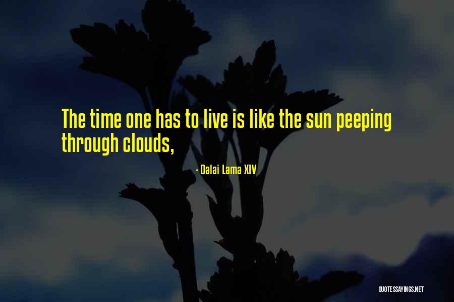 Ahs Supreme Quotes By Dalai Lama XIV