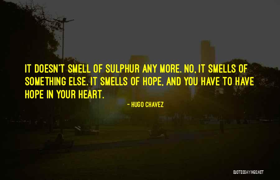 Ai Ogawa Quotes By Hugo Chavez Ai Ogawa Quotes By Hugo Chavez