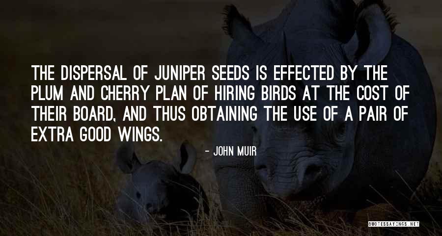 Aida Garifullina Quotes By John Muir Aida Garifullina Quotes By John Muir