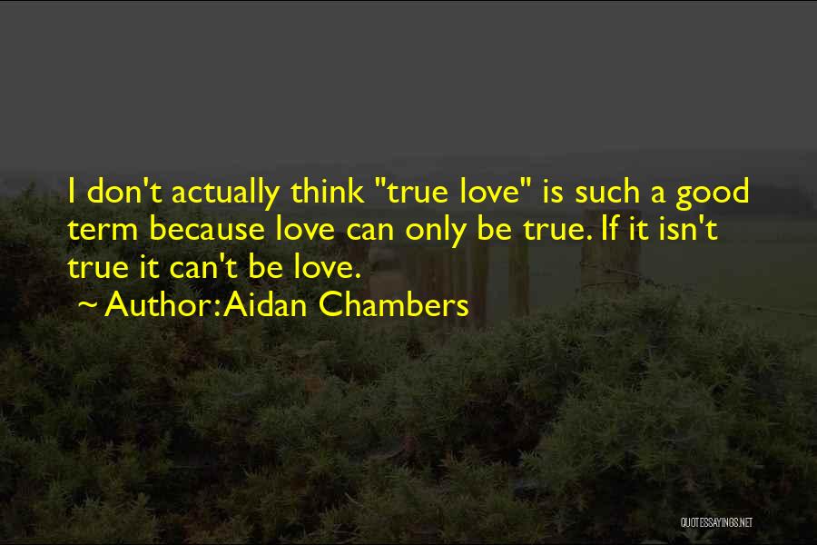 Aidan Chambers Quotes 2199672