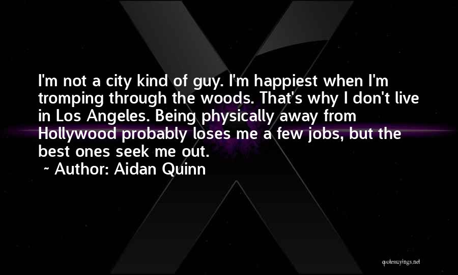 Aidan Quinn Quotes 1133866