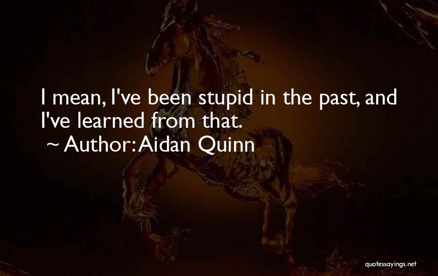 Aidan Quinn Quotes 1162016