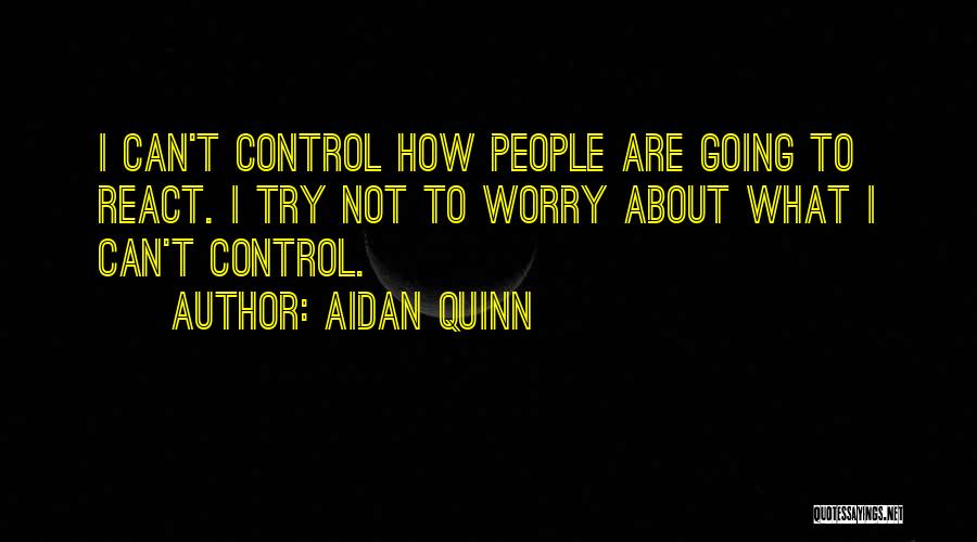 Aidan Quinn Quotes 152579