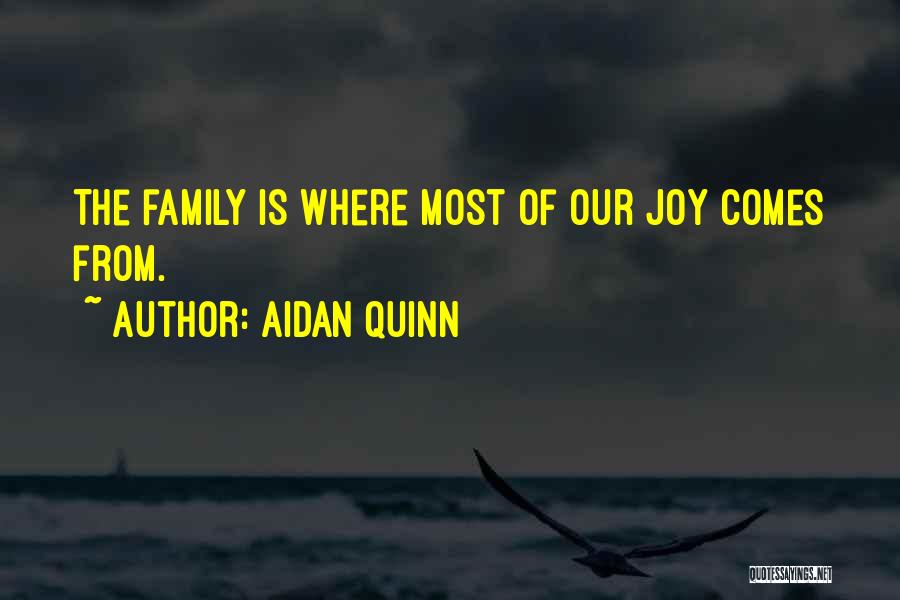 Aidan Quinn Quotes 2096093