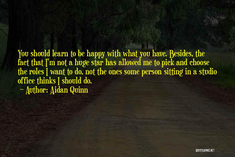 Aidan Quinn Quotes 587613