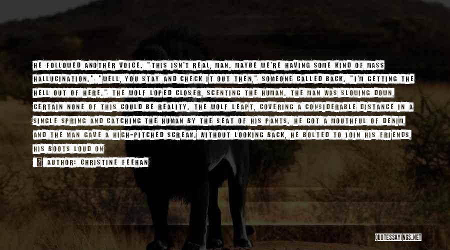 Aidan Quotes By Christine Feehan