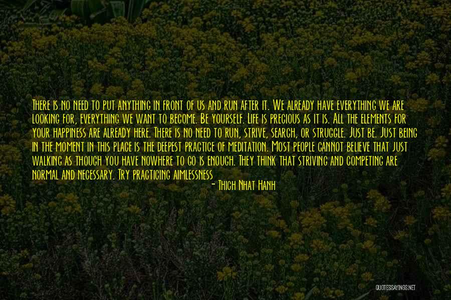 Aidana Medenova Quotes By Thich Nhat Hanh Aidana Medenova Quotes By Thich Nhat Hanh