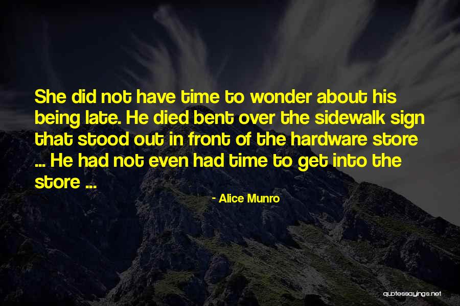 Aiden Pearce Quotes By Alice Munro Aiden Pearce Quotes By Alice Munro