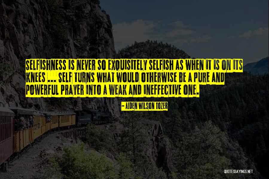 Aiden Wilson Tozer Quotes 282483 Aiden Wilson Tozer Quotes 282483