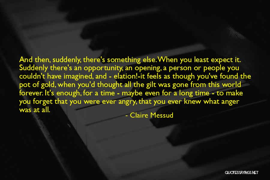 Aidenn Def Quotes By Claire Messud Aidenn Def Quotes By Claire Messud