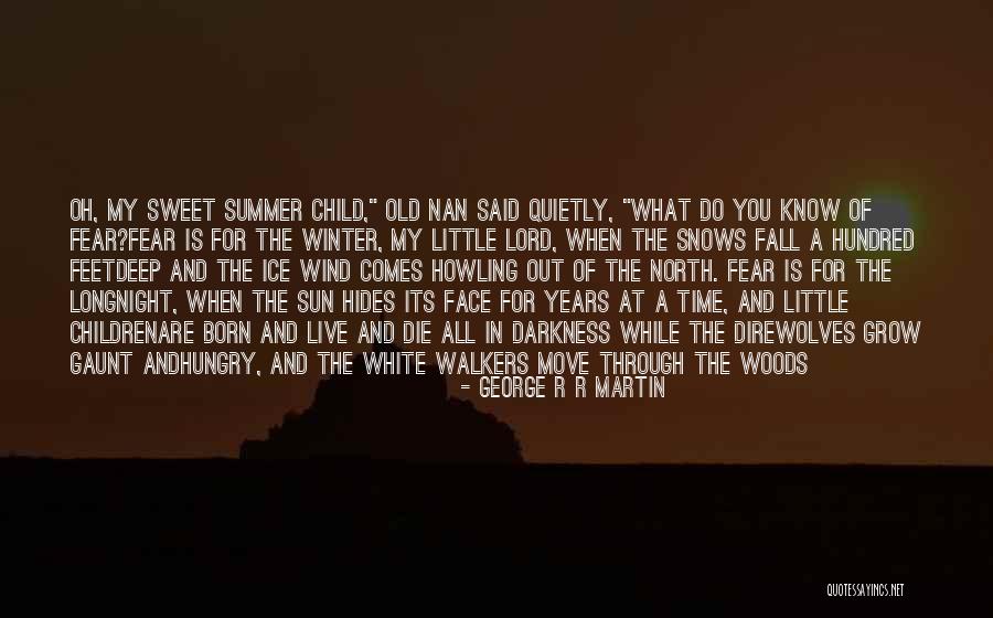 Aider And Abettor Quotes By George R R Martin Aider And Abettor Quotes By George R R Martin