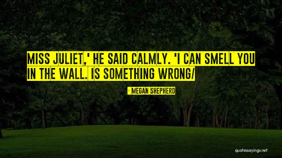 Aidinian Quotes By Megan Shepherd Aidinian Quotes By Megan Shepherd