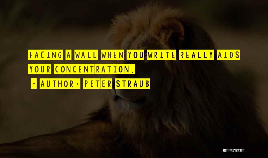 Aids Quotes By Peter Straub
