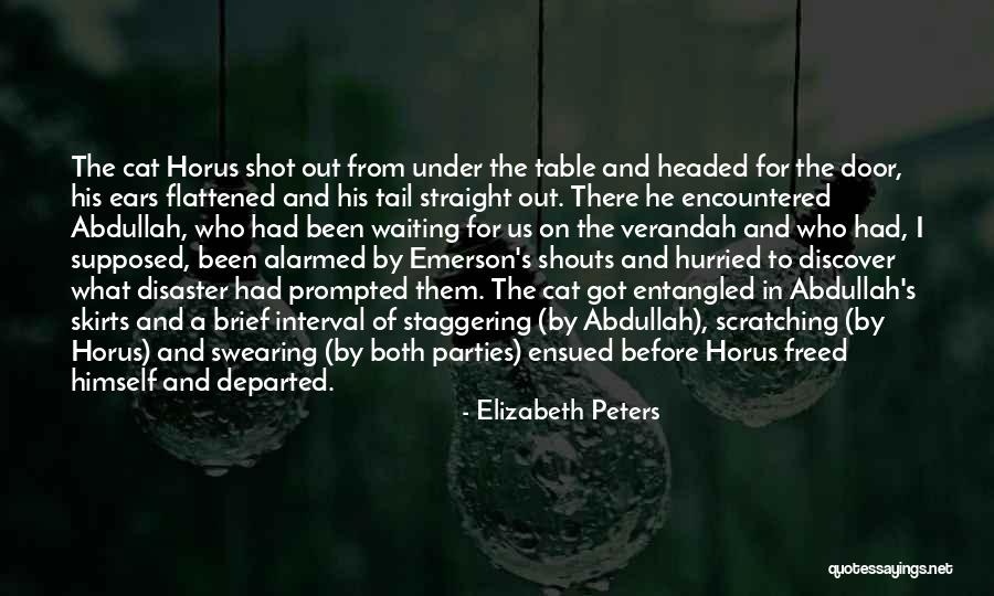 Aihara Enju Quotes By Elizabeth Peters Aihara Enju Quotes By Elizabeth Peters