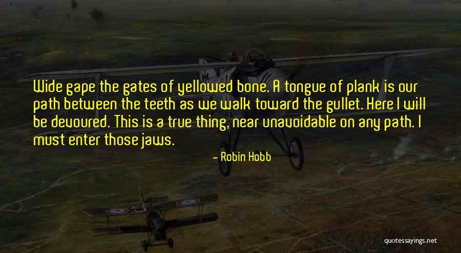 Aikaa Karmela Quotes By Robin Hobb Aikaa Karmela Quotes By Robin Hobb