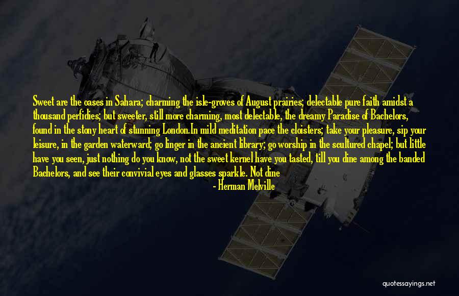 Aikido Funny Quotes By Herman Melville Aikido Funny Quotes By Herman Melville