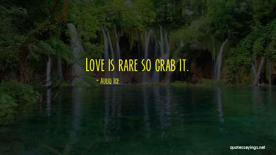 Aikido Techniques Quotes By Auliq Ice Aikido Techniques Quotes By Auliq Ice