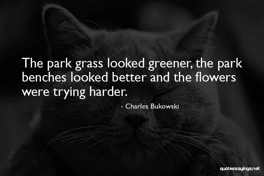 Aikido Uniform Quotes By Charles Bukowski Aikido Uniform Quotes By Charles Bukowski