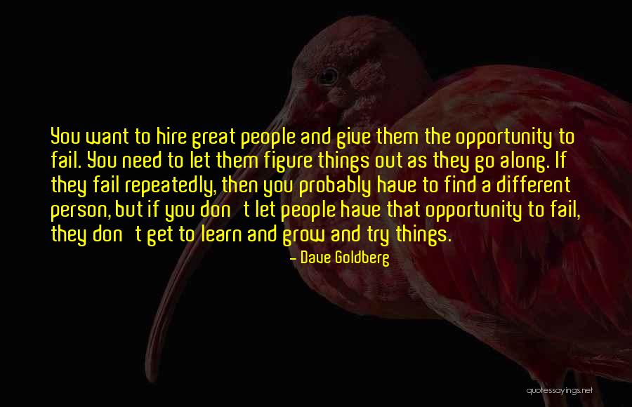 Ailish Forfar Quotes By Dave Goldberg Ailish Forfar Quotes By Dave Goldberg