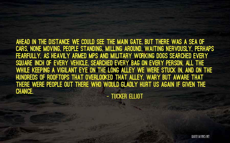 Ailleen Quotes By Tucker Elliot Ailleen Quotes By Tucker Elliot