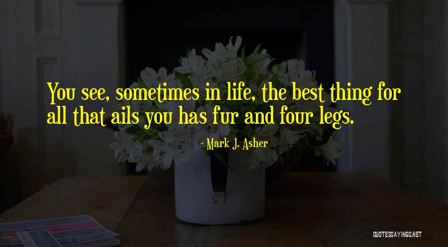 Ails Quotes By Mark J. Asher Ails Quotes By Mark J. Asher