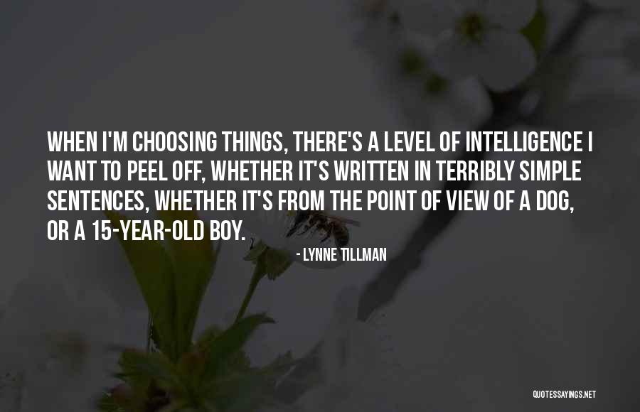 Ailton Derbez Quotes By Lynne Tillman Ailton Derbez Quotes By Lynne Tillman