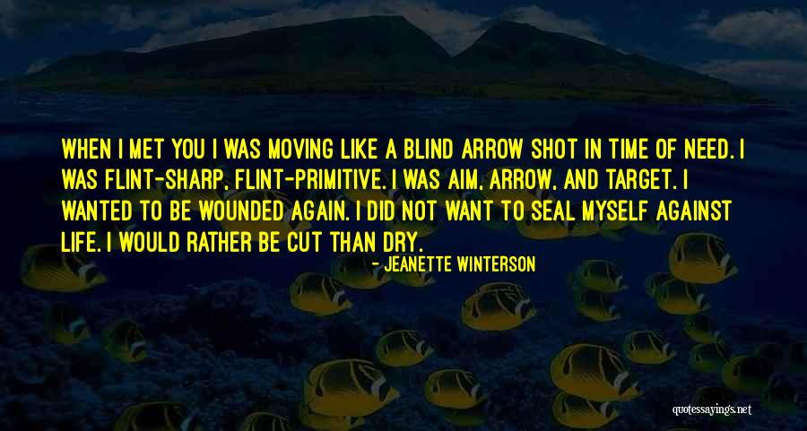 Aim And Target Quotes By Jeanette Winterson