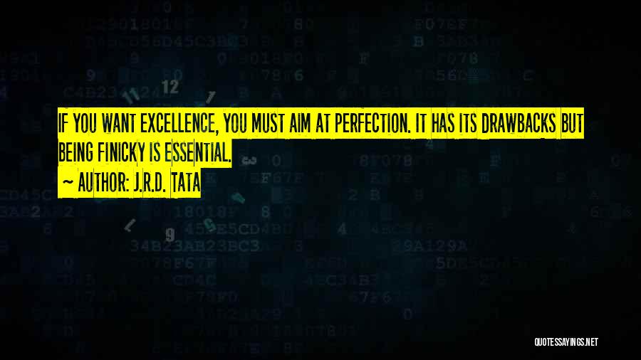 Aim For Excellence Quotes By J.R.D. Tata