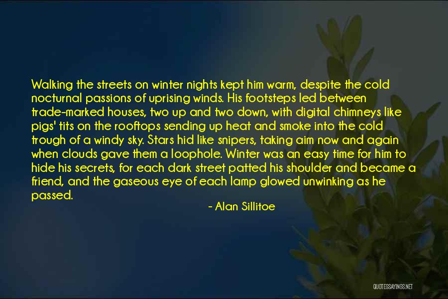 Aim For The Sky Quotes By Alan Sillitoe Aim For The Sky Quotes By Alan Sillitoe