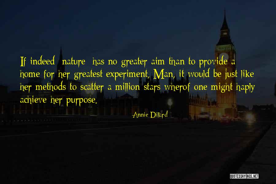 Aim For The Stars Quotes By Annie Dillard Aim For The Stars Quotes By Annie Dillard