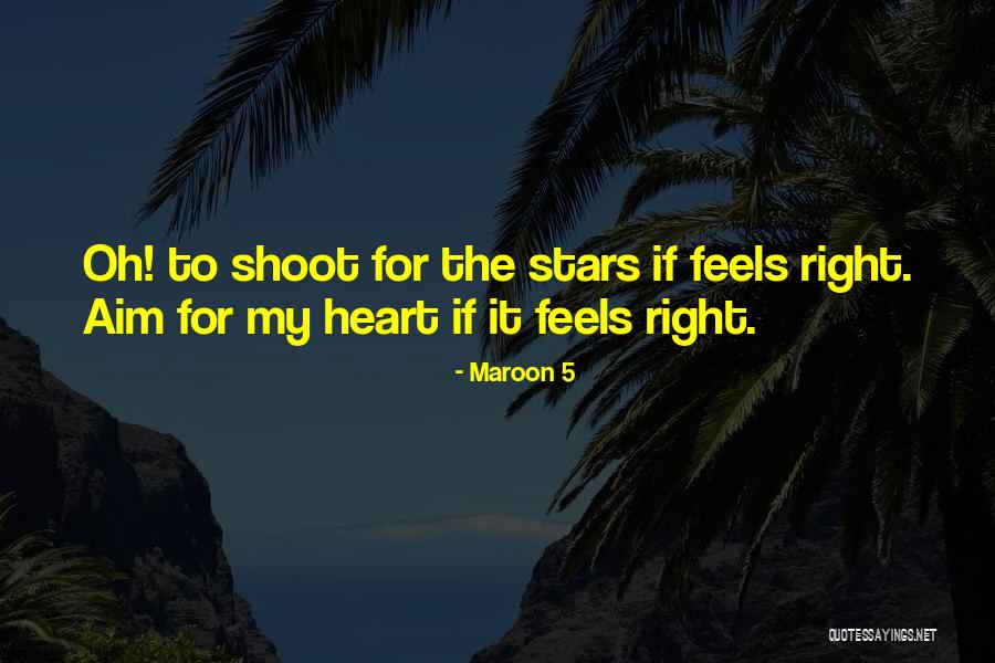 Aim For The Stars Quotes By Maroon 5