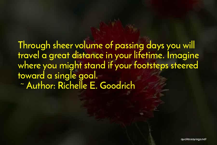 Aim For Your Goal Quotes By Richelle E. Goodrich