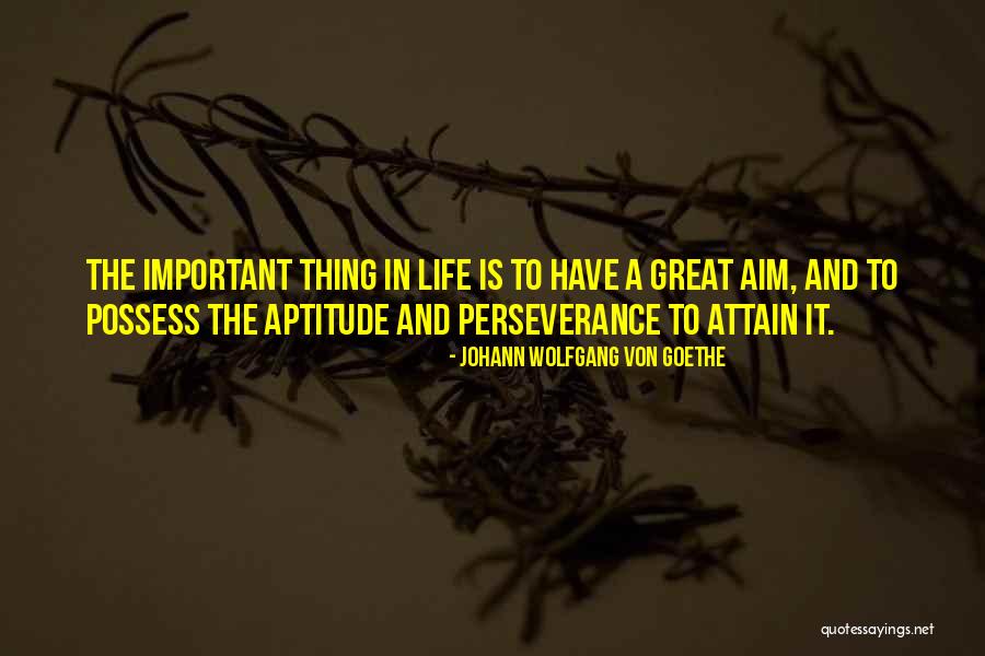 Aim In Life Quotes By Johann Wolfgang Von Goethe Aim In Life Quotes By Johann Wolfgang Von Goethe