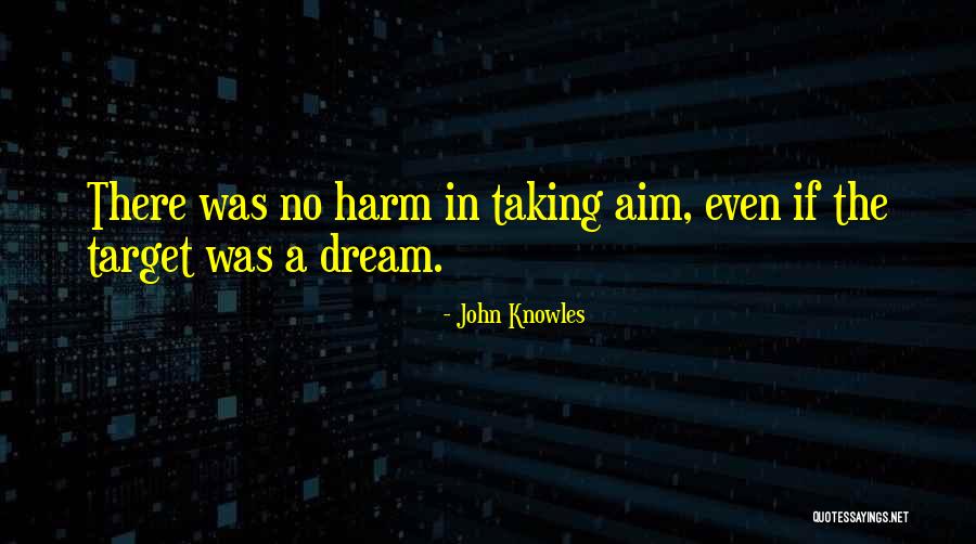 Aim Target Quotes By John Knowles