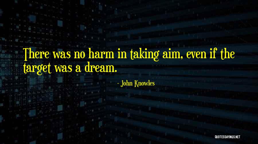Aim Your Target Quotes By John Knowles Aim Your Target Quotes By John Knowles