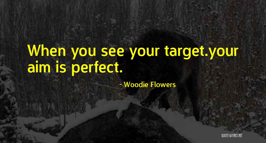 Aim Your Target Quotes By Woodie Flowers Aim Your Target Quotes By Woodie Flowers