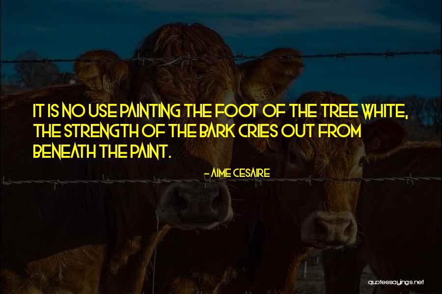Aime Quotes By Aime Cesaire Aime Quotes By Aime Cesaire