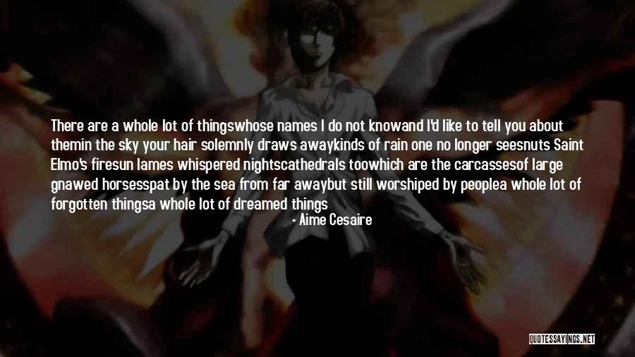 Aime Quotes By Aime Cesaire Aime Quotes By Aime Cesaire