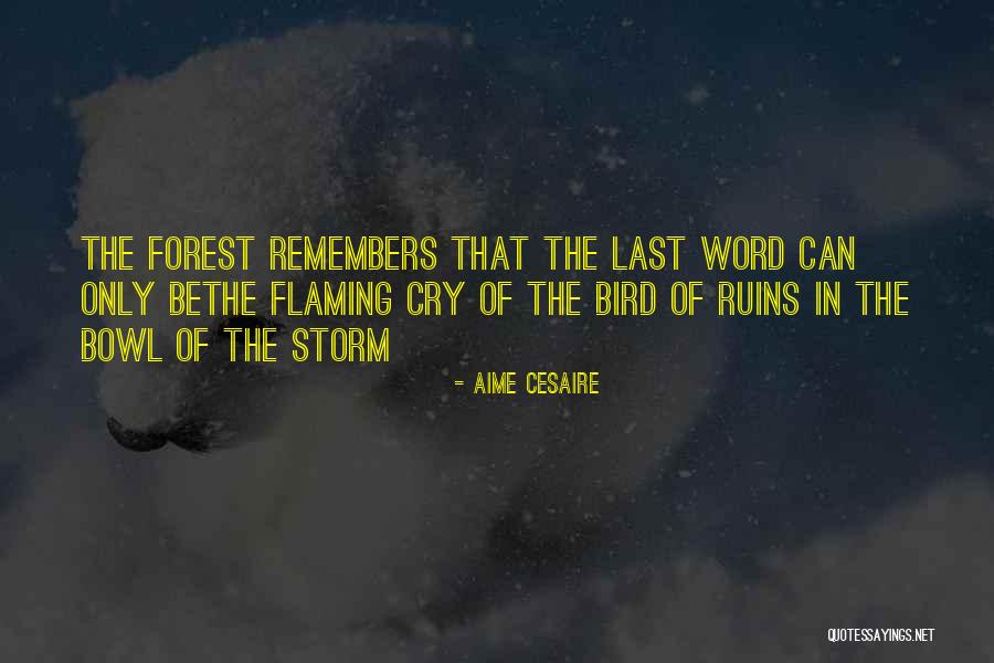 Aime Quotes By Aime Cesaire Aime Quotes By Aime Cesaire