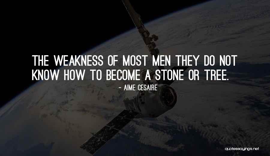 Aime Quotes By Aime Cesaire Aime Quotes By Aime Cesaire