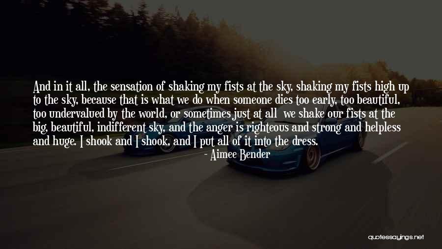 Aimee Bender Quotes 1377317